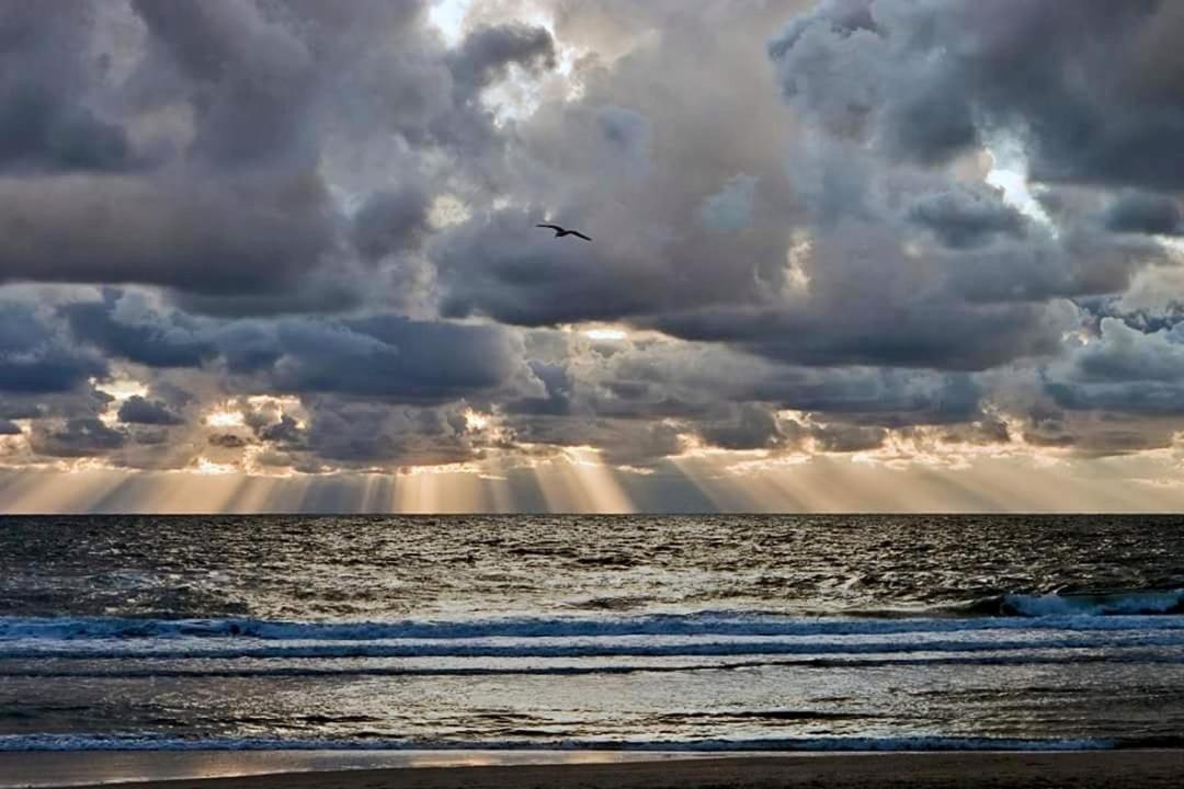 Appartement Lefferts Zandvoort Bagian luar foto